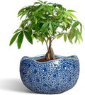 10 Inch Plant Pot by Thirtypot
