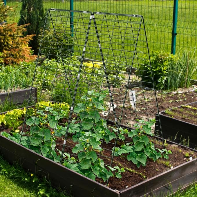 AGTEK 34" x 48" Foldable Cucumber Trellis - Image 6
