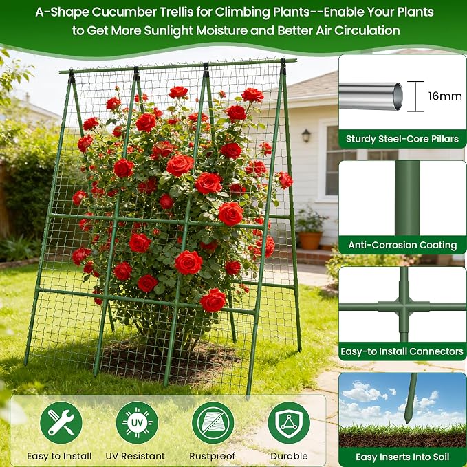 Cucumber Trellis for Raised Bed 48" L x 64" H, 16mm Heavy-Duty Metal A-Shape - Image 6
