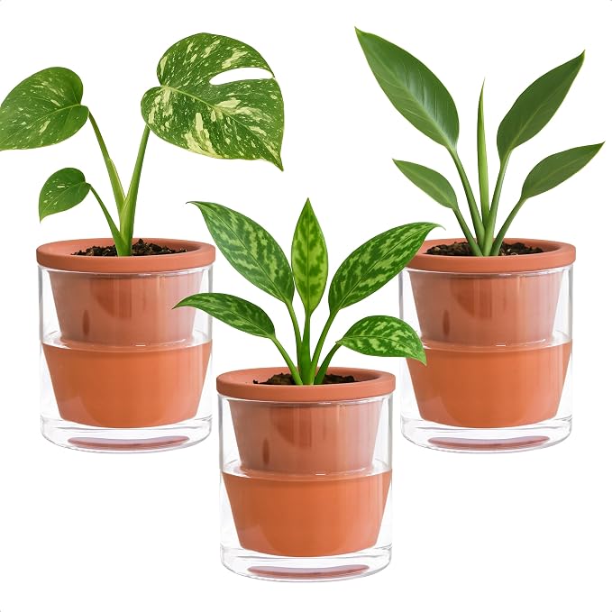 D'vine Dev 4 Inch Design Self Watering Pot by DvineDevPlanterPotsandStand