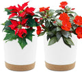 QCQHDU 6.5 inch Plant Pot, 2 Pack Planters by QCQHDU