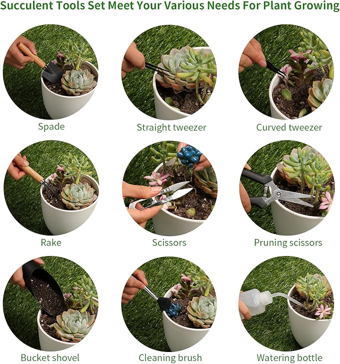 11Pcs Succulent Tools, Mini Garden Tools, Succulent Watering Tool as Plant - Image 3