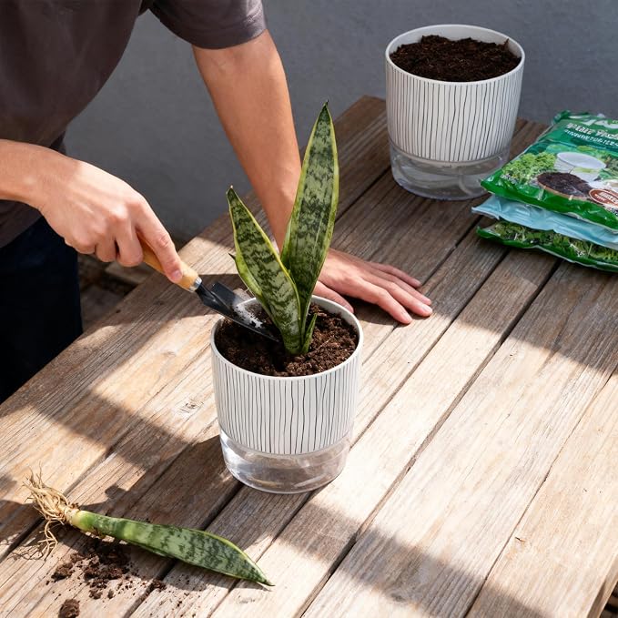 3 Pack Self Watering Pots Set, 4 Inch Self Watering Pots - Image 5