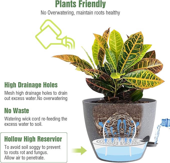 10/9/8 inch Self Watering Pots - Image 4