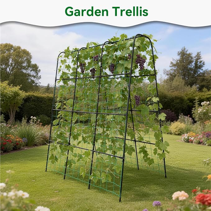 Cucumber Trellis - Image 7