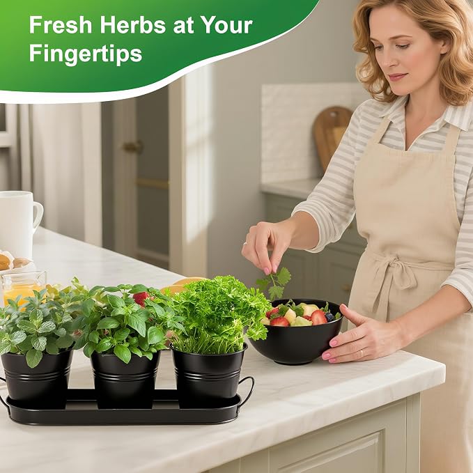 Herb Garden Planter Indoor Kit – 6 Metal Pots - Image 2
