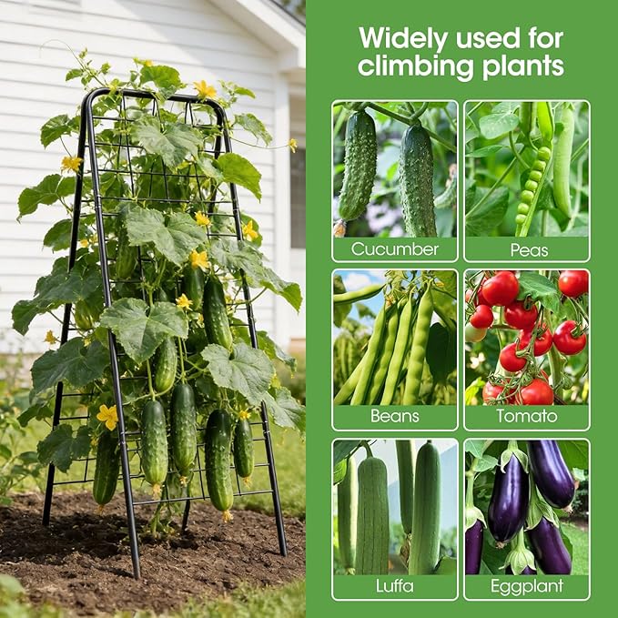 Heavy Duty Cucumber Trellis，50"x17" Adjustable A-Frame Trellis - Image 5
