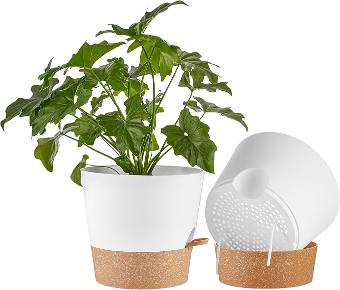 FaithLand 2-Pack 10 Inch Planter Pots by FaithLand