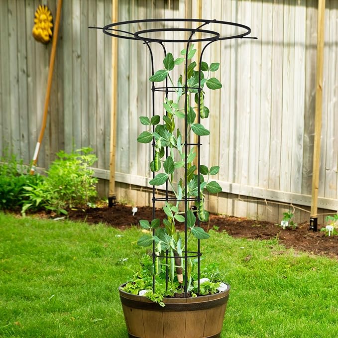 Trellis for Climbing Plants Outdoor - Image 7