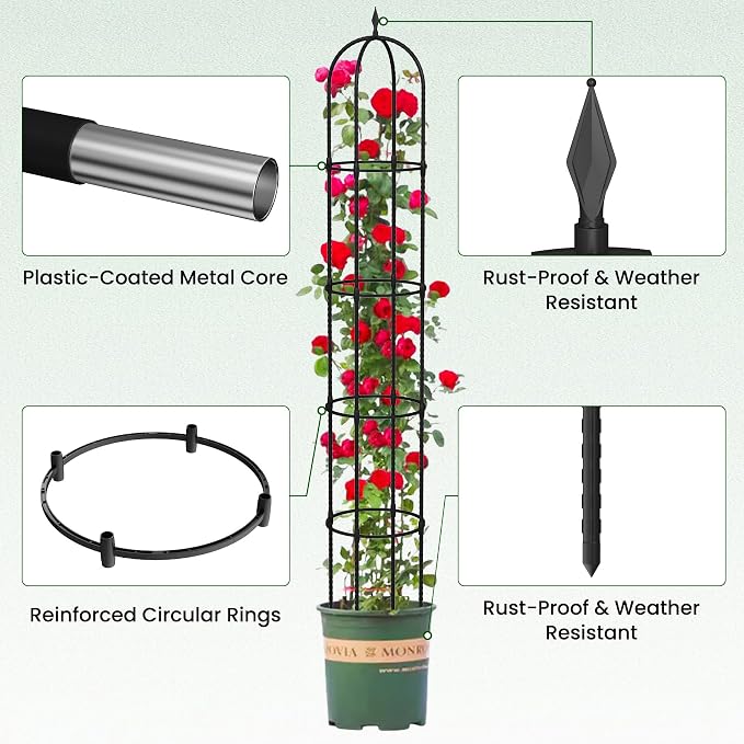 Garden Obelisk Trellis for Climbing Plants - Image 2