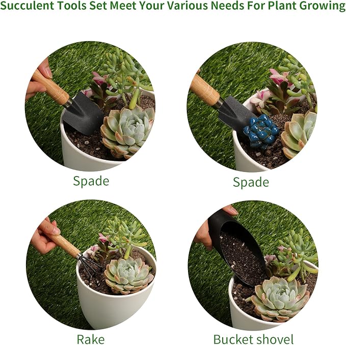 5Pcs Succulent Tools, Mini Garden Tools, Plant Potting Mat as Plant Accessories - Image 3