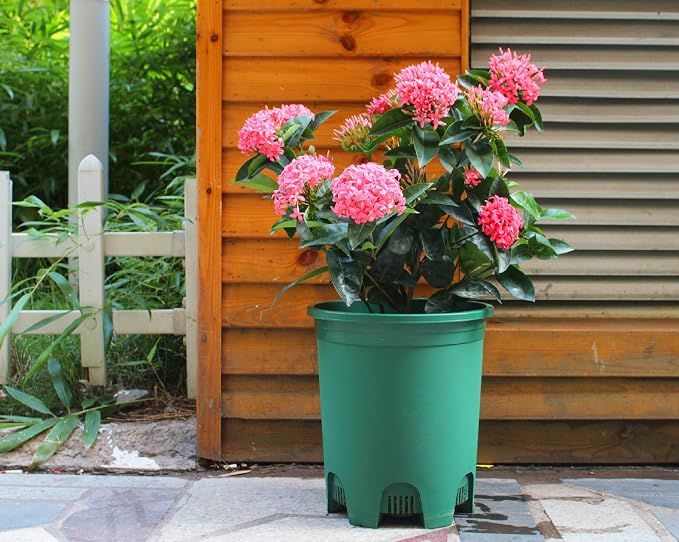 5 Gallon 20-Pack Green Nursery Pot Black Plastic Planters in Bulk - Image 5