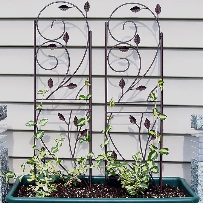 Sunnydaze 32-Inch Rustic Plant Design Outdoor Garden Trellis - Image 4