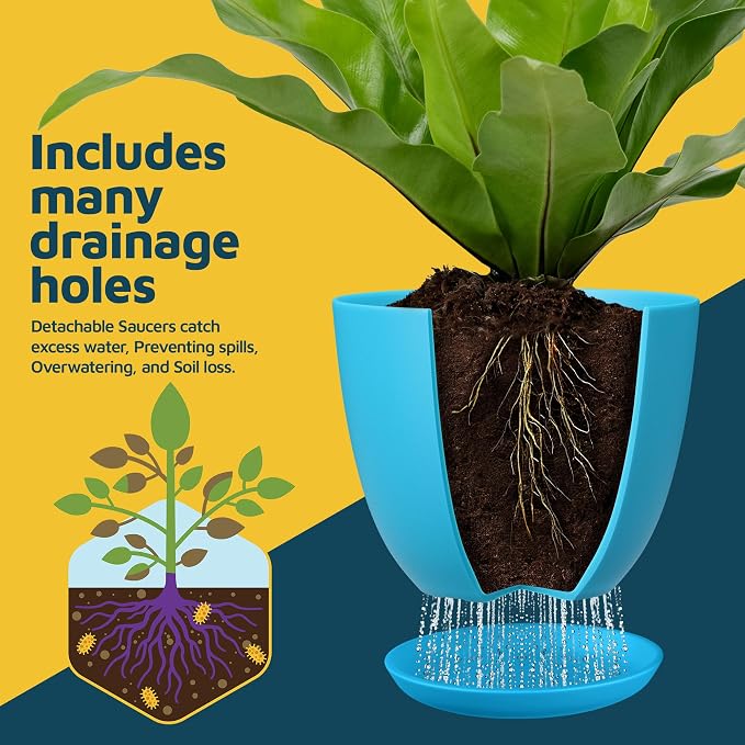 Blue Plant Pots with Drainage Holes & Saucers 15 Pack, Indoor & Outdoor - Image 6