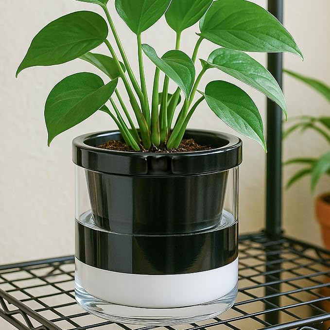 D'vine Dev 8 Inch Design Self Watering Planter - Image 5