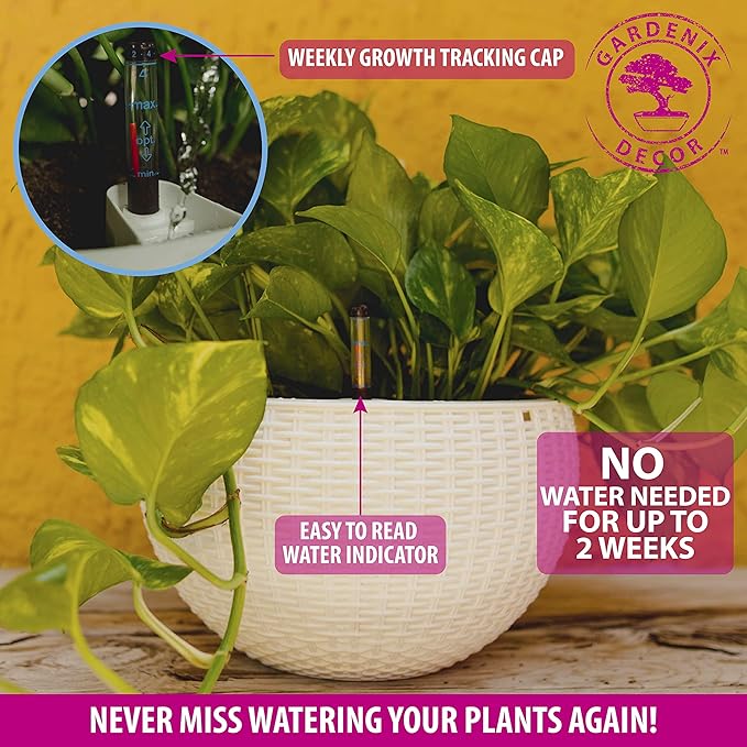 GARDENIX DECOR 11'' Self Watering Hanging planters - Image 5