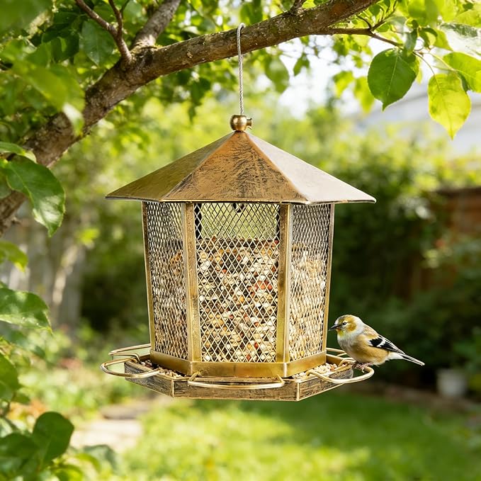 Wild Birds Feeder, Finch Bird Feeder - Image 7