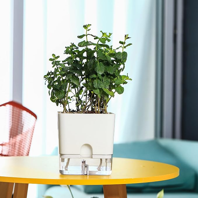 Planterhoma Self Watering Plant Pots - Image 7