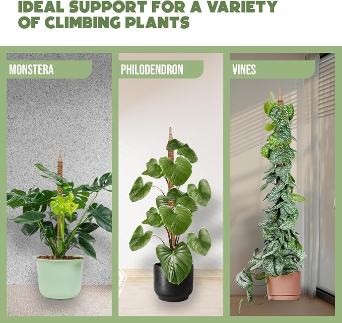 2 Pack 48" and 28'' Bendable Moss Pole Monstera Plant Support - Image 4