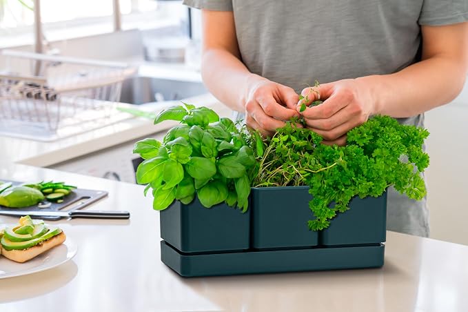 D'vine Dev Herb Garden Planter Set, Plastic Plant Pots - Image 4