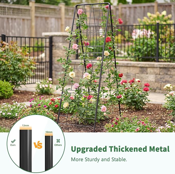 2 Pack Cucumber Trellis, Climbing Plants and Flowers - Image 3