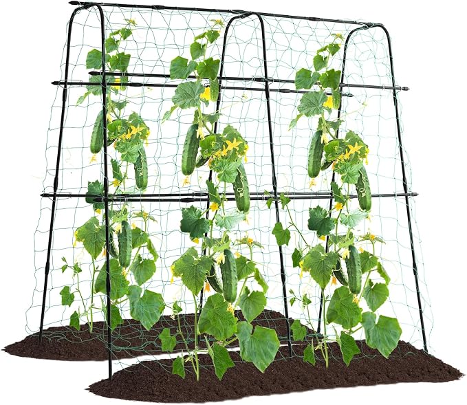 Cucumber Trellis for Raised Bed, 5x5ft Metal Garden Trellis Climbing Plants by follook