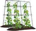 Cucumber Trellis for Raised Bed, 5x5ft Metal Garden Trellis Climbing Plants by follook