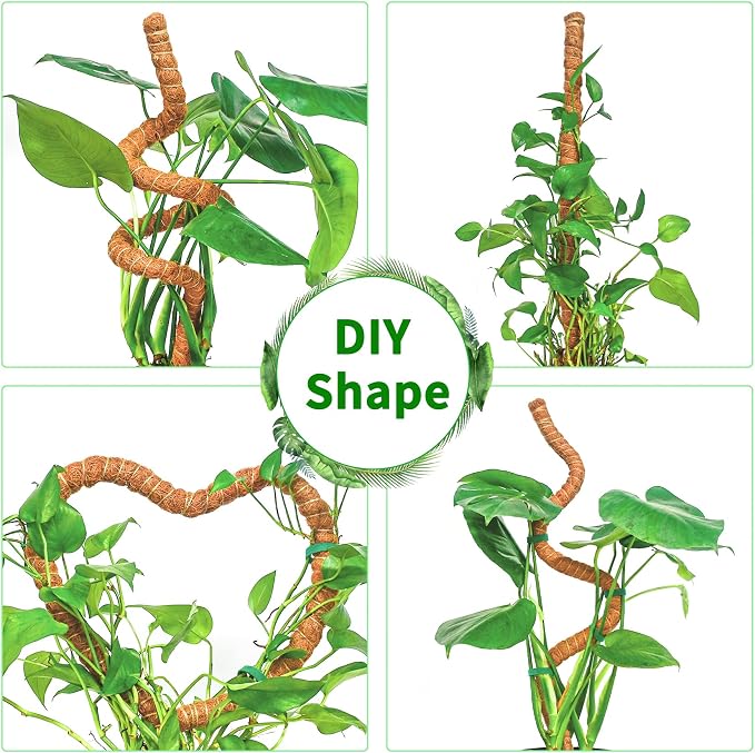 2 Pack 39 Inch Moss Pole Monstera Plant Support, Coir Moss Poles - Image 3