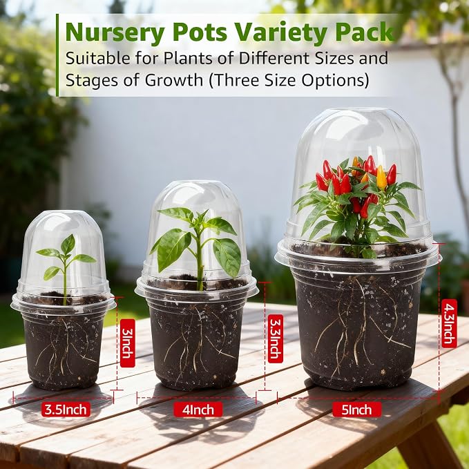 MIXC Clear Nursery Pots with Humidity Domes, 5/4/3.5 Inch Reinforced - Image 7