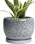 SQOWL Ceramic Pot for Plants by SQOWL