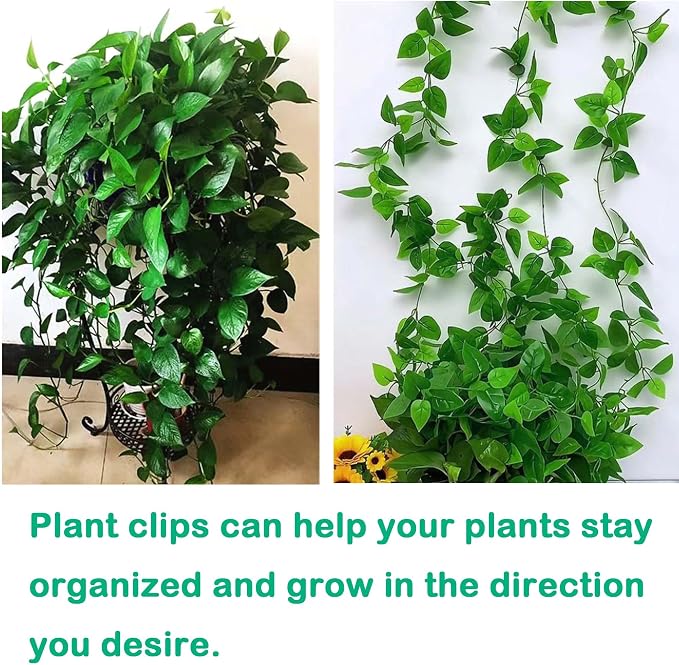 Plant Climbing Wall Fixture Clips, Traction Support Holder, Invisible Leaf Clips - Image 7