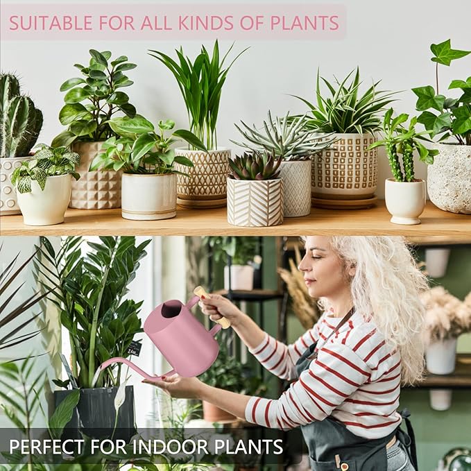 Watering Can Indoor Plants, 35oz Small Indoor Stainless Steel Metal Watering - Image 4