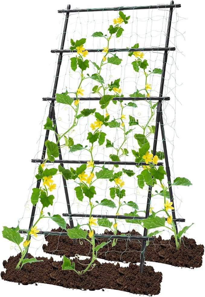 Garden Trellis for Climbing Plants, 6ft Cucumber Trellis for Raised Bed by follook