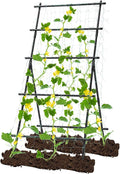 Garden Trellis for Climbing Plants, 6ft Cucumber Trellis for Raised Bed by follook