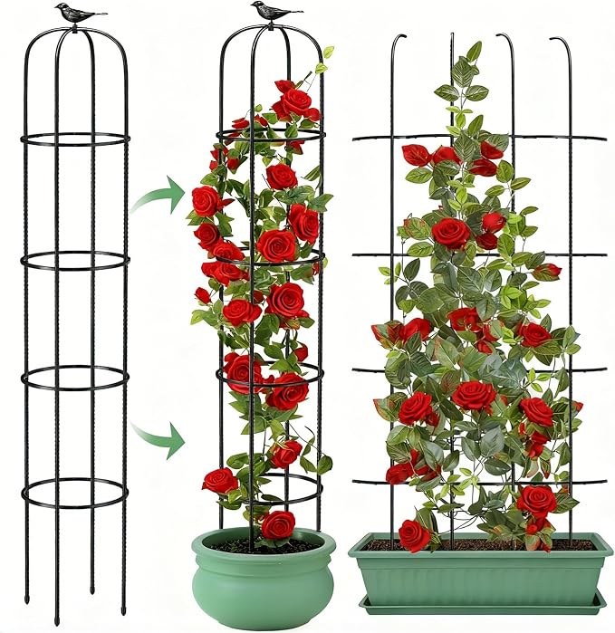6.2ft Garden Obelisk Trellis for Climbing Plants Rustproof Metal Pipe - Image 9