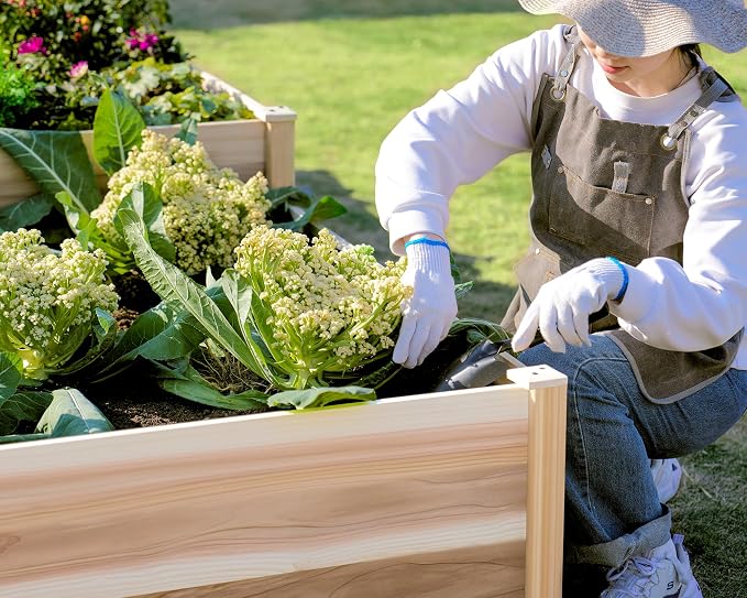 AMERLIFE Raised Garden Bed – 12x12x2 ft H-Shaped Wooden Planter Box, 180 Cu. Ft - Image 9