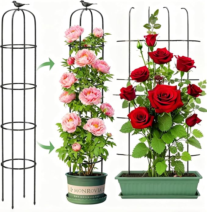6.2ft Garden Obelisk Trellis for Climbing Plants Rustproof Metal Pipe by MYMULIKEHOME