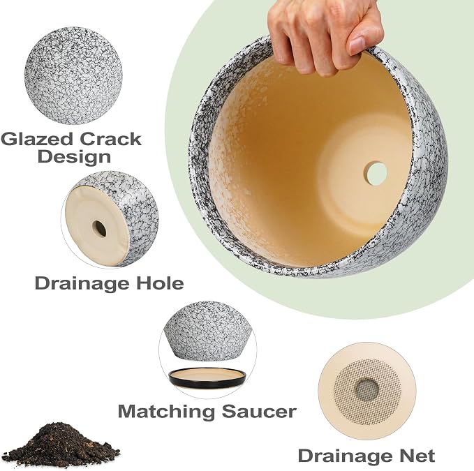 Ceramic Planter - Image 6