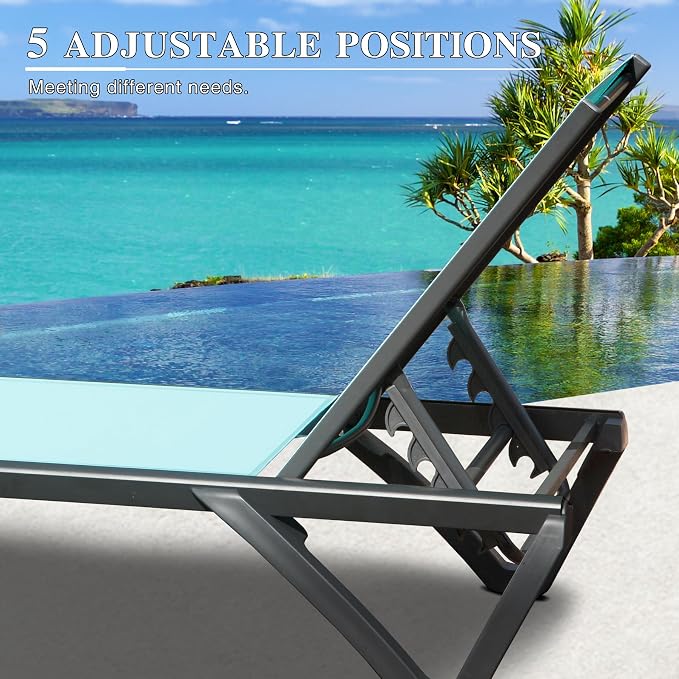 Domi Pool Lounge Chairs Set of 2 - Image 4