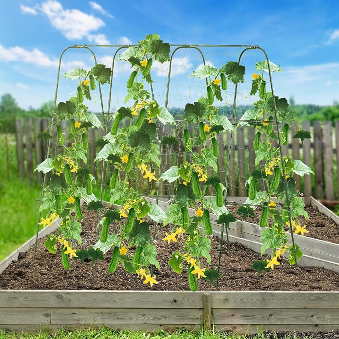 Lalahoni Cucumber Trellis, - Image 6