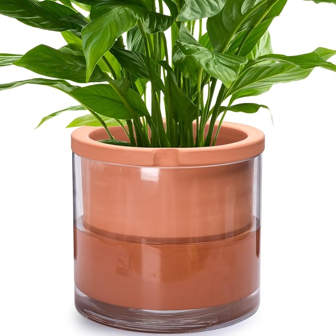 Phoenix Vine 10 Inch Self Watering Planter, Indoor Cylinder Terra Cotta Pot by Phoenix+Vine