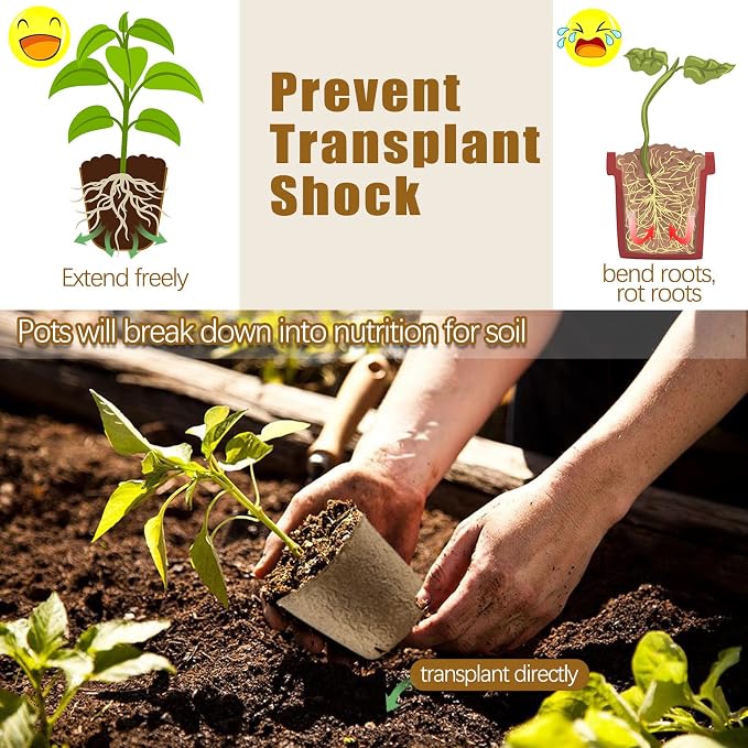 Peat Pots, 102 Pack 3.15 Inch Biodegradable Planting Peat Pots - Image 4