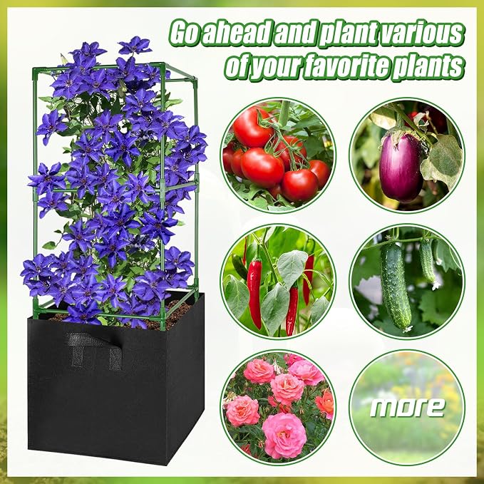 ANPHSIN 3 Sets Tomato Cages - Image 7