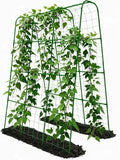 Cucumber Trellis by TrellumeGardenHome