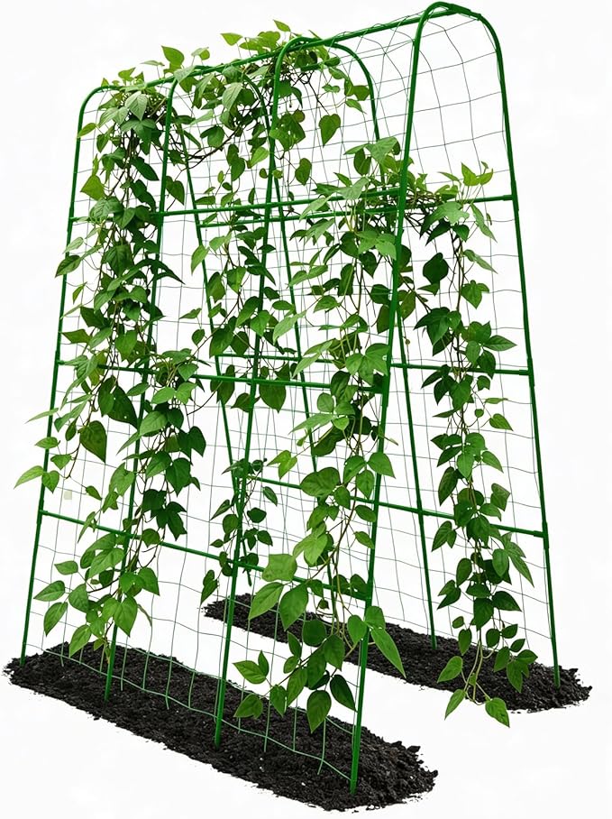 Cucumber Trellis by TrellumeGardenHome