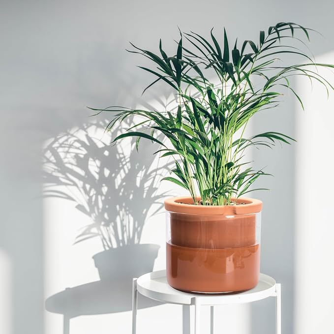 Phoenix Vine 8 Inch Self Watering Planter Pots, Design White Terracotta Pots - Image 7