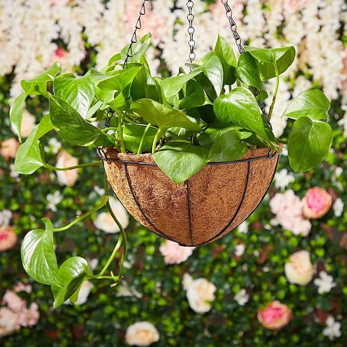 Hanging Baskets Planter for Plants - Image 6