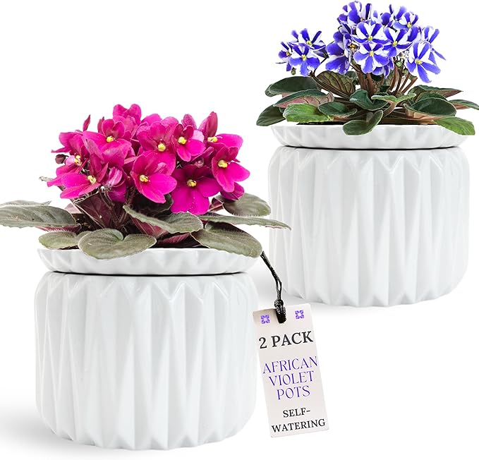 6 Inch African Violet Pots Self Watering, Ceramic Planter by ThrivingThicket