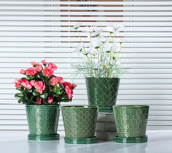 BUYMAX Plant Pots Indoor –5 inch Ceramic Flower Pot - Image 2