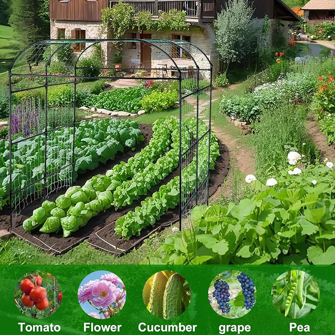 Garden Arch Trellis for Climbing Plants Outdoor, Grape Vine Tomato Bean U Frame - Image 4